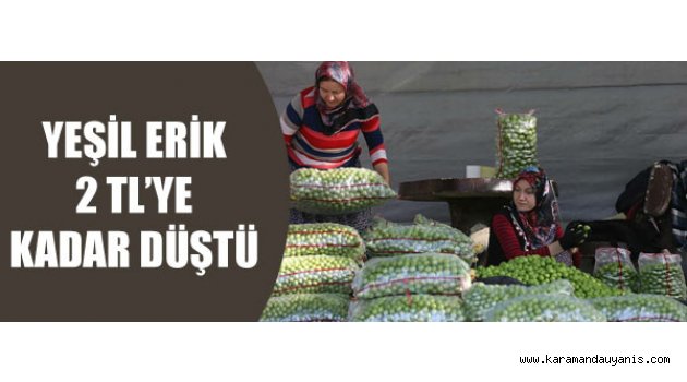 ERİK HASADI..