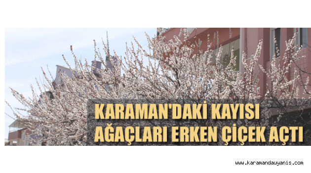 ERKEN ÇİÇEK AÇTI