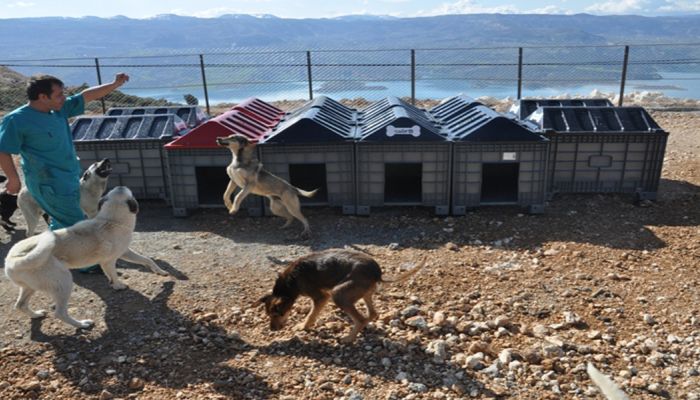 Ermenek Belediyesi Geçici Hayvan Bakımevi Açıldı.