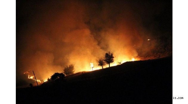 ERMENEK'DE KORKUTAN YANGIN