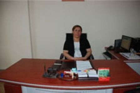 Ermenek’de Atama