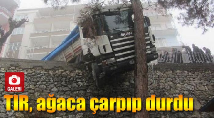 Faciayı Engelledi