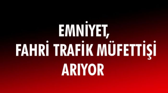 Fahri Trafik Müfettişi