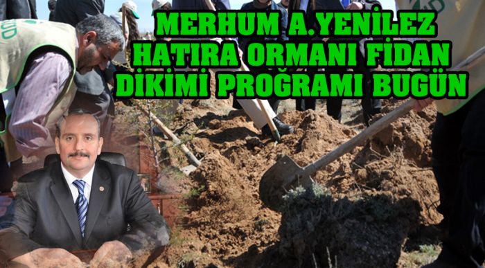 Fidan Dikimi Proğramı Bugün