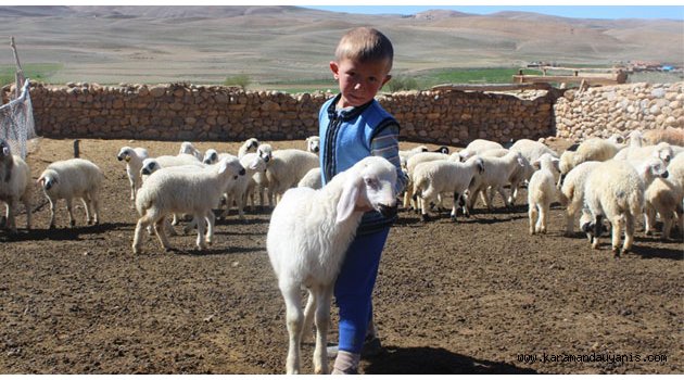 FOTOĞRAF YARIŞMASINDA ÜÇÜNCÜLÜK ÖDÜLÜ