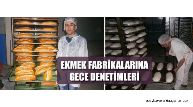 GIDA DENETİMLERİ