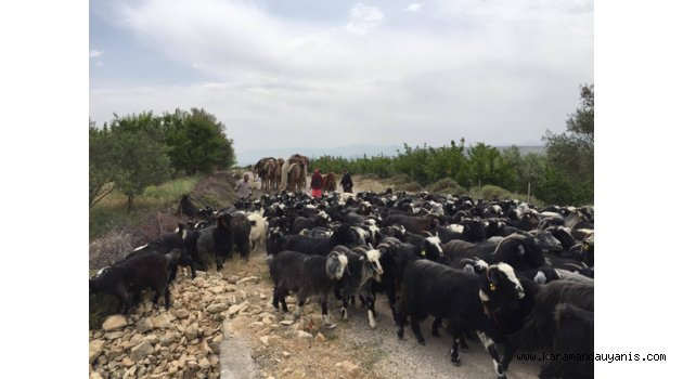Göç Kervanı Etkinliği