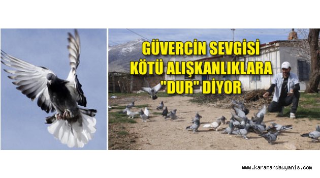 Güvercinleri Besliyor