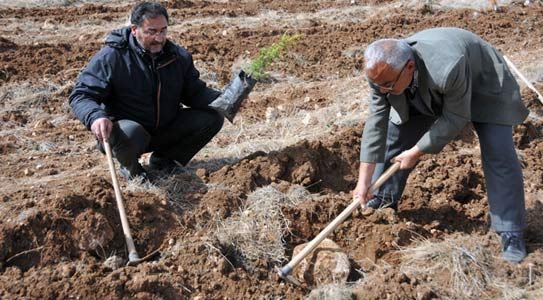Hacı Adayları Fidan Dikti