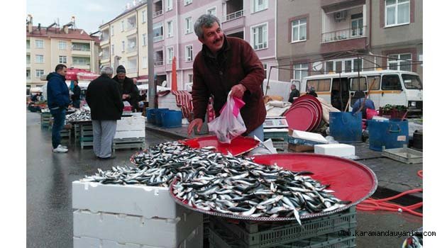 HAMSİ FİYATI DÜŞTÜ, İSTAVRİT YÜKSELDİ