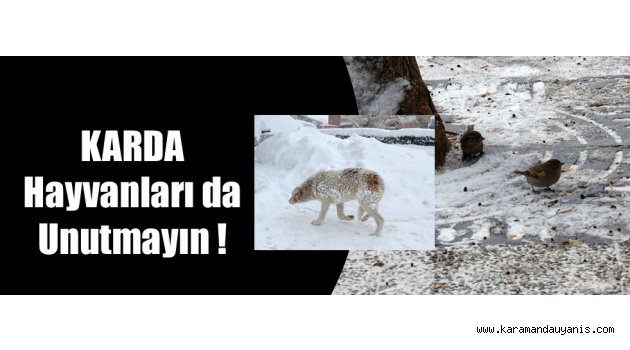 HAVA ŞARTLARI..