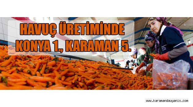 HAVUÇ ÜRETİMİNDE KONYA 1., KARAMAN 5.