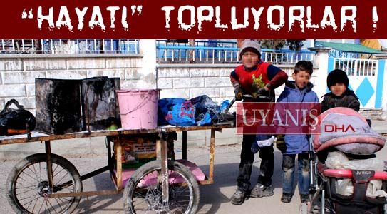 “hayatı” Topluyorlar !
