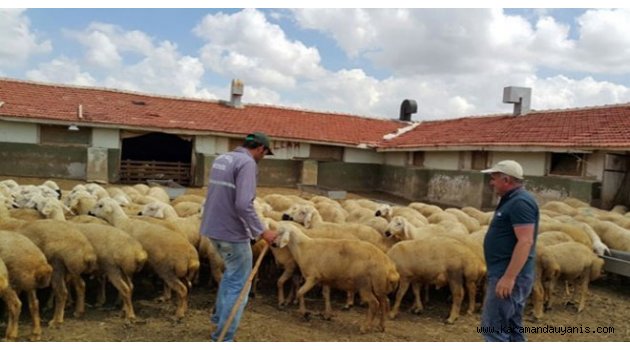 HAYVANCILIK ÇALIŞTAYLARI TAMAMLANDI