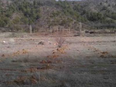 Hazine Arazileri Kiracılarına Satış İmkanı