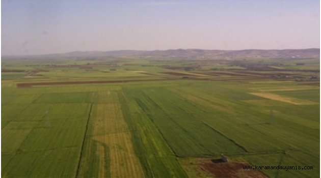 HAZİNE'YE AİT TARIM ARAZİLERİ SATILACAK