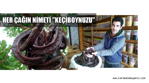 HER ÇAĞIN NİMETİ "KEÇİBOYNUZU"