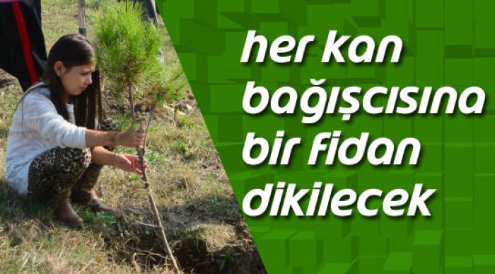 Her Kan Bağışcısına Bir Fidan Dikilecek