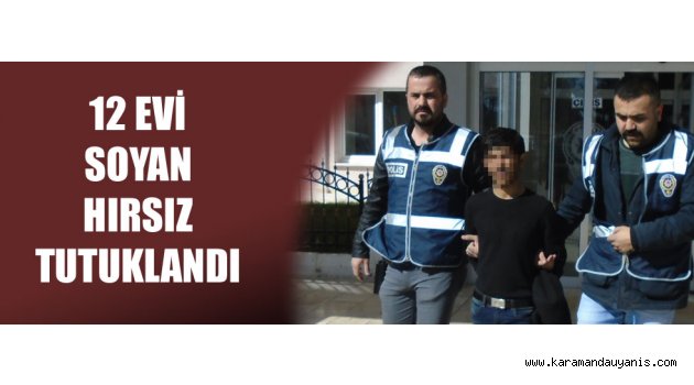 HIRSIZLIK ZANLISI TUTUKLANDI