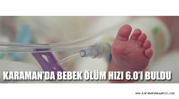 Hizmet içi ve Halk Eğitimler