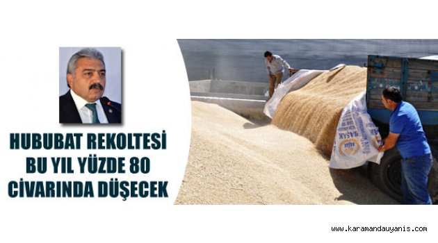 Hububat rekoltesi