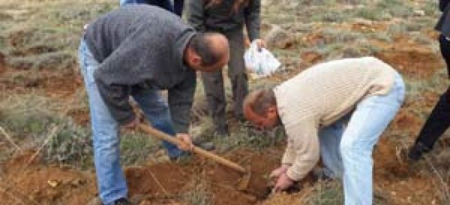 Hükümlülerden Fidan Etkinliği