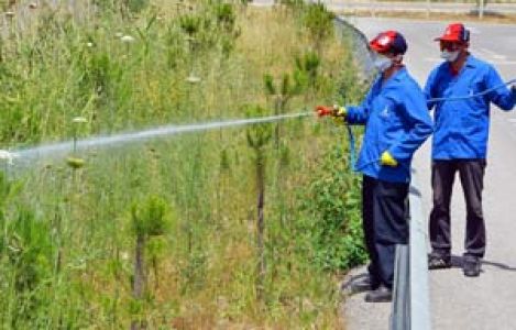 İlaçlama Uyarısı Yapıldı