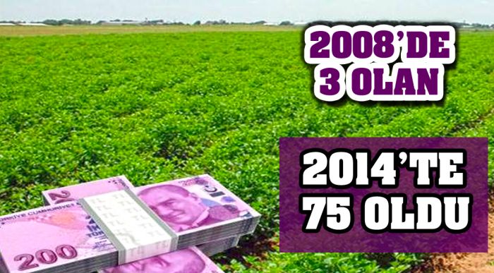 İlimizde 2008’de 3 Olan İyi Tarım Uygulaması Yapan Üretici Sayısı 2014’te 75 Oldu