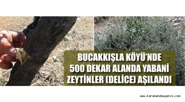 KARAMAN BUCAKKIŞLA KÖYÜ..
