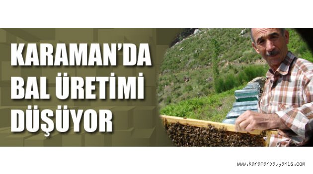 KARAMAN’DA BAL ÜRETİMİ DÜŞÜYOR
