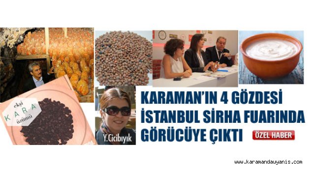 KARAMAN’IN 4 GÖZDESİ