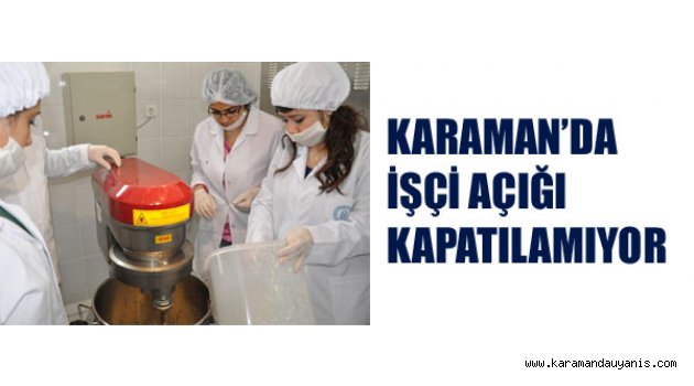Karaman İşgücü Piyasası