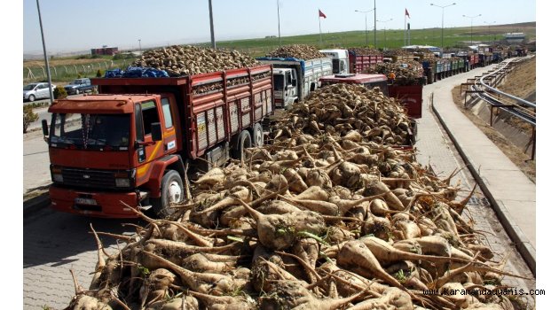 Karaman Ziraat Odası