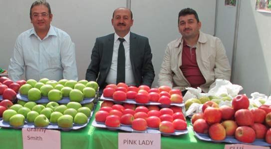 Karaman Pazarlamada Sorun Yaşıyor