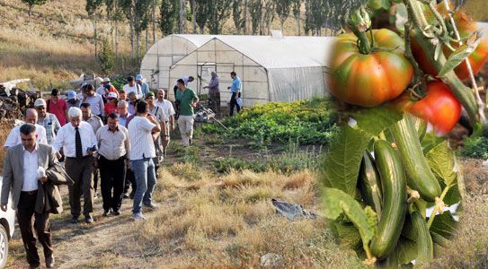 Karaman Sera Üretimine Adım Attı