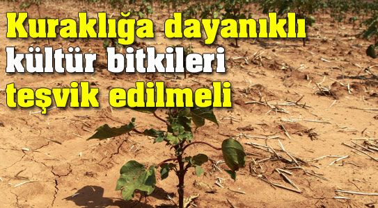 Karaman Tarımı Susuzluk İçin Yön Arıyor !