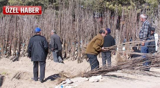 Karaman Türkiye’de Birinciliğe Uzandı