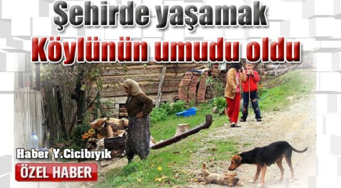 Karaman Yüzde 70.9 Şehirli Oldu