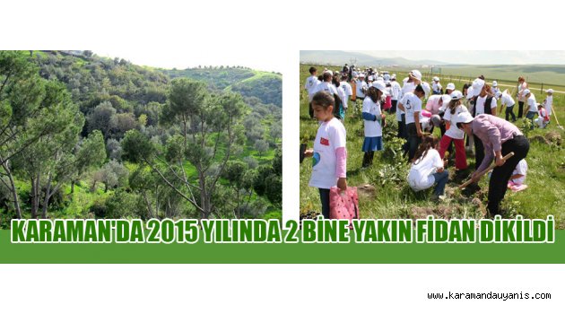 KARAMAN'DA 2015 YILINDA 2 BİNE YAKIN FİDAN DİKİLDİ