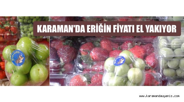 KARAMAN'DA ERİĞİN FİYATI EL YAKIYOR