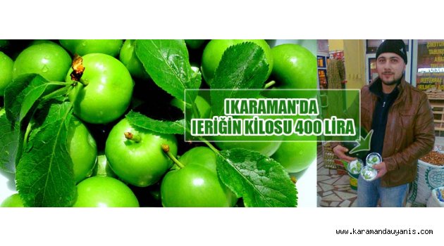 KARAMAN'DA ERİĞİN KİLOSU 400 LİRA