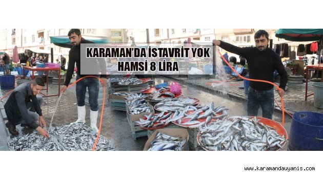 KARAMAN'DA İSTAVRİT YOK HAMSİ 8 LİRA