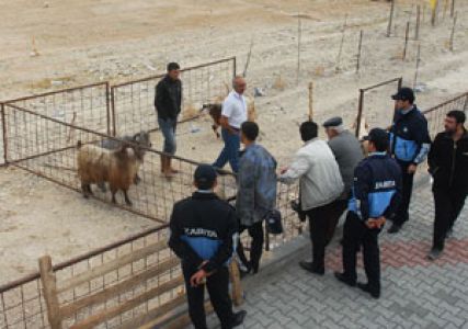 Karaman’da Belirlendi