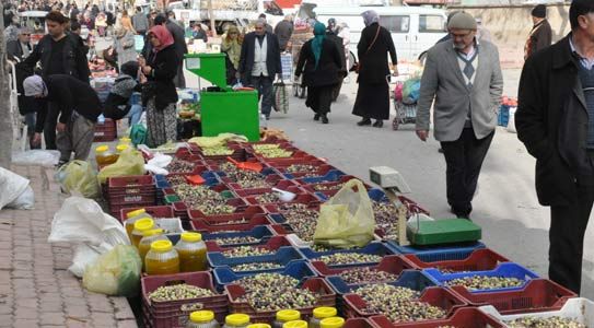 Karaman’da Zeytin Zamanı Bitiyor