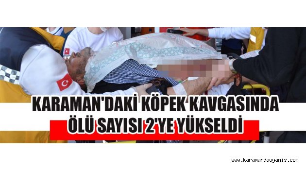 KARAMAN'DAKİ KÖPEK KAVGASINDA ÖLÜ SAYISI 2'YE YÜKSELDİ