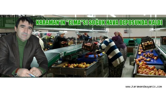 KARAMAN'IN "ELMA"SI SOĞUK HAVA DEPOSUNDA KALDI