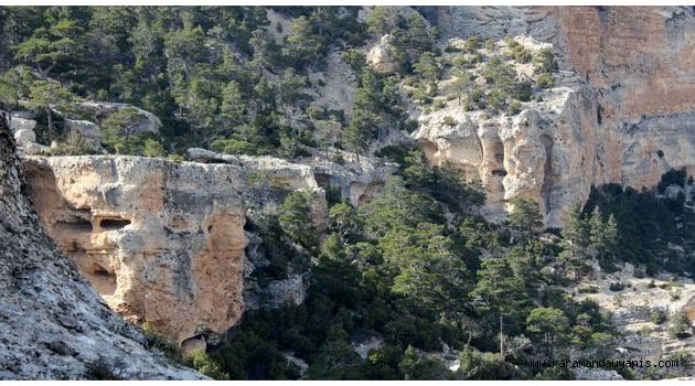 KARDOF’DAN HAFTA SONU ETKİNLİĞİ