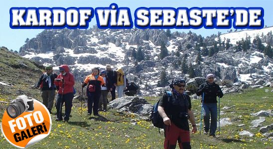 Kardof Via Sebaste'de