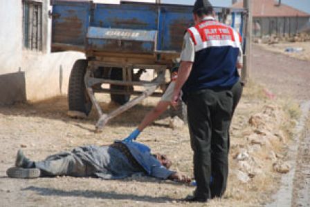 Katil Zanlısı Kardeşler Tutuklandı