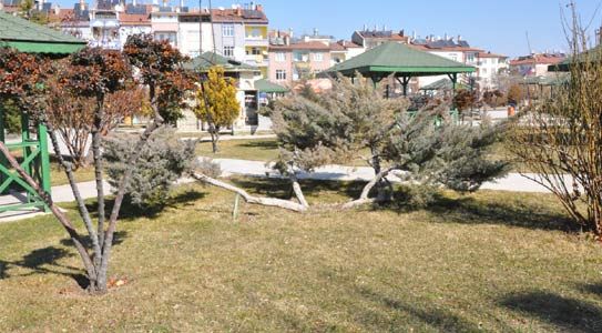 Kentte Park Ve Bahçeler Bahara Hazır